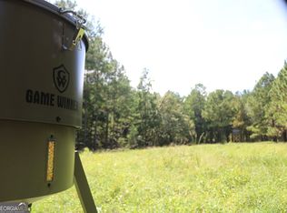 0 Barentine Rd, Rochelle, GA 31079