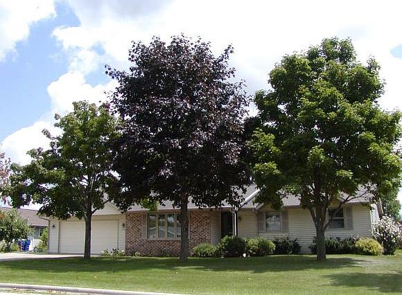 1st image of 2117 Nellie Ln