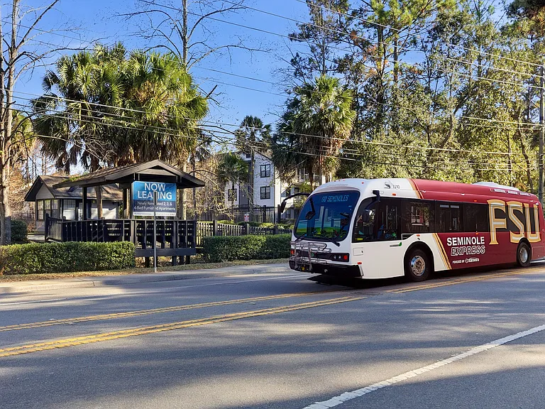 ReNew Tallahassee — Photo 45