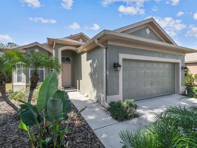 4410 Sawgrass Dr, Palm Harbor, FL, 34685