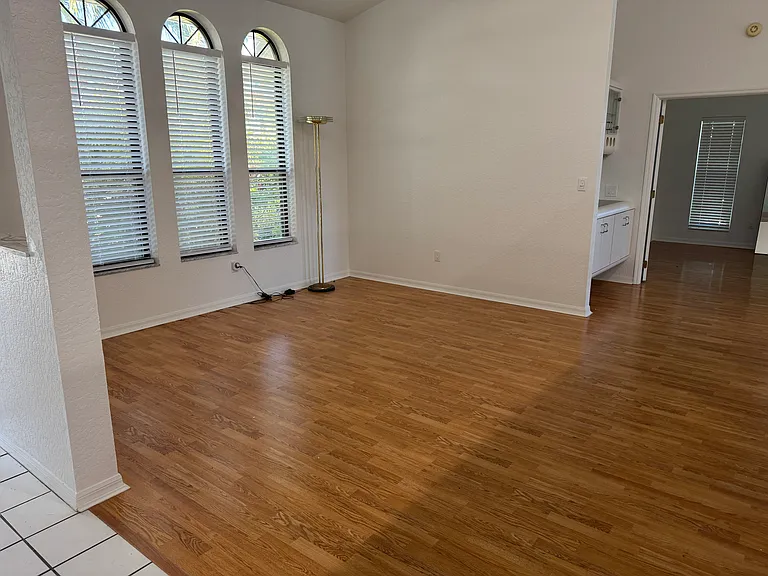 317 Lanternback Island Dr — Photo 8