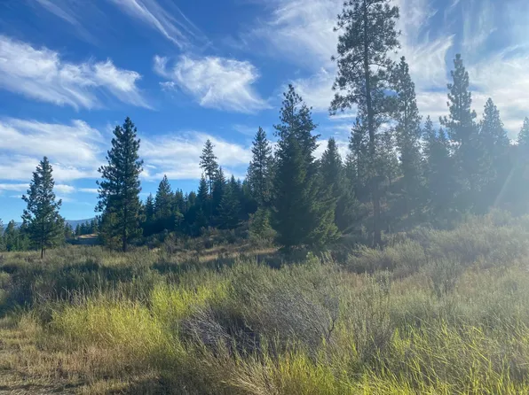 14 Bighorn, Plains, MT 59859