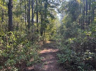 224 SE 8th Avenue, Palatka, FL 32177