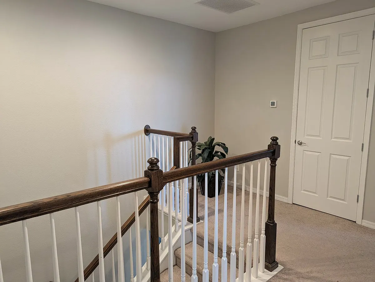 Building Photo - 2494 Felce Ct