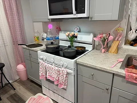 1 bed, $1,650 — Photo 4