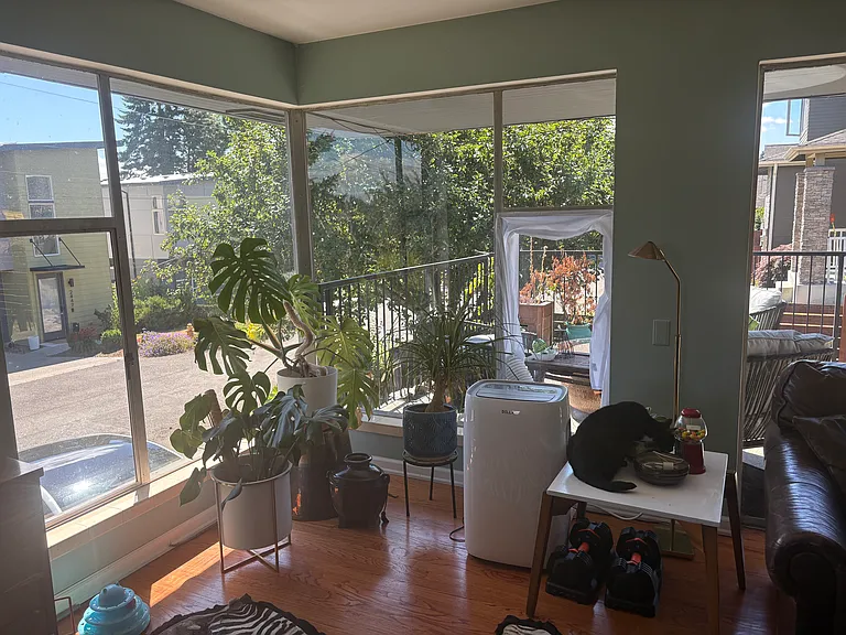 Living room - SE view