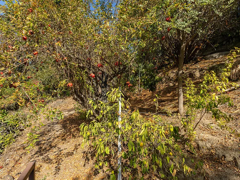 1425 Brixton Rd — Photo 32
