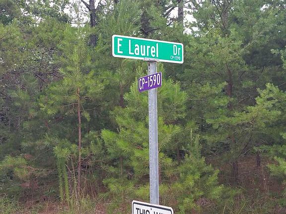 5th image of 1009 E Laurel Dr