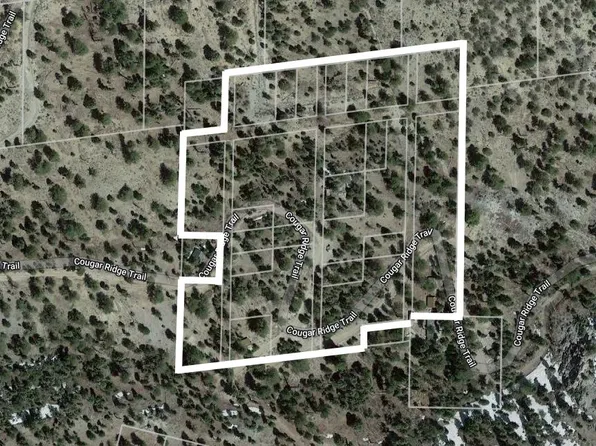4085 Cougar Ridge Trl, Mount Charleston, NV 89124