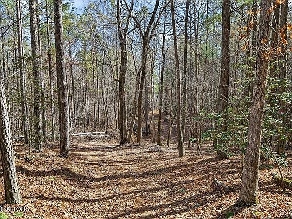 23rd image of this home