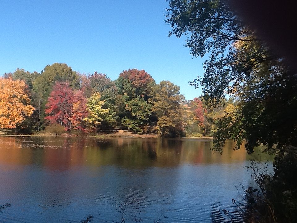 Lake view from upper deck.