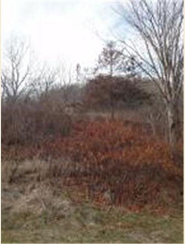 2nd image of XXX Highway 74  N