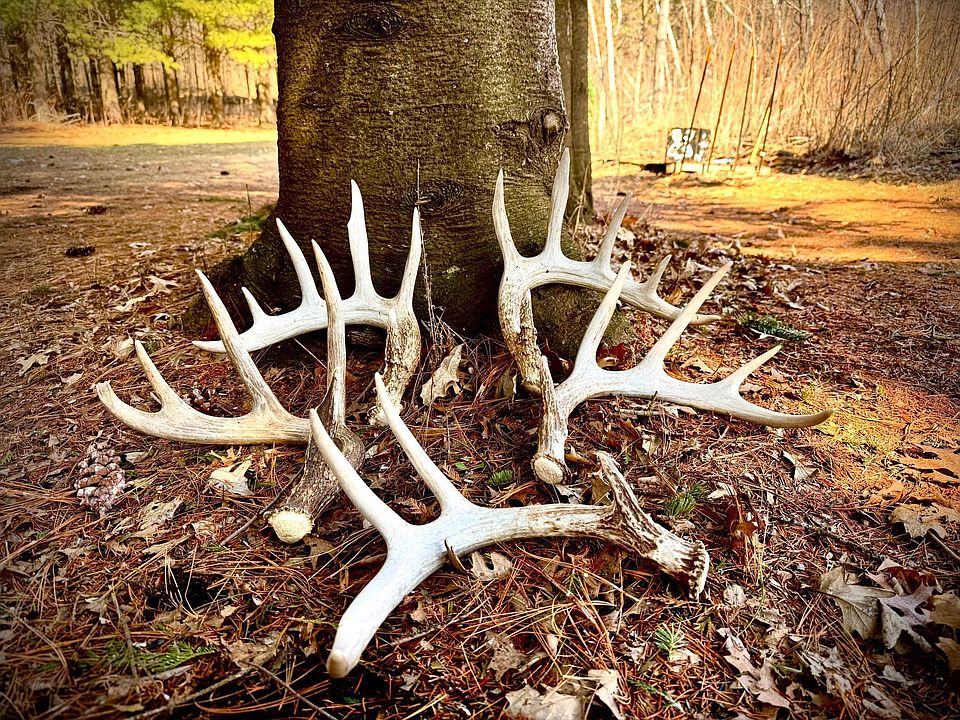 1st image of County Road M