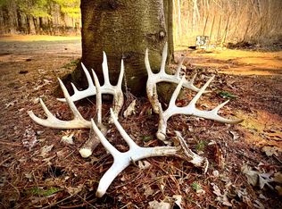 County Road M, Osceola, WI 54020