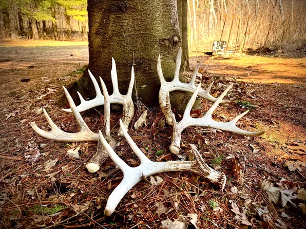 County Road M, Osceola, WI 54020