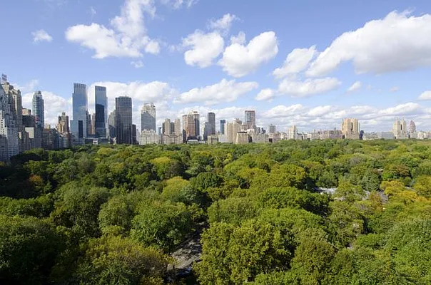 Rented by Urbana Properties | media 20