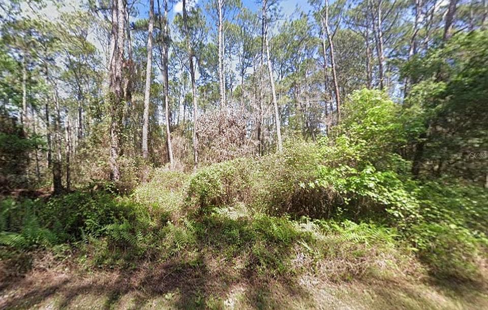 1st image of 416 Palm Way Lot 29