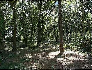2nd image of 7534 Forest City Rd