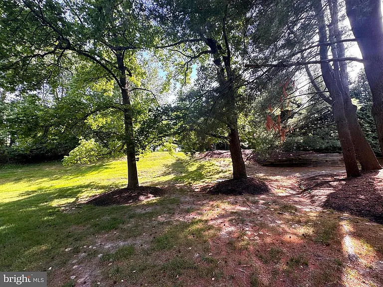 1962 The Woods #II — Photo 3