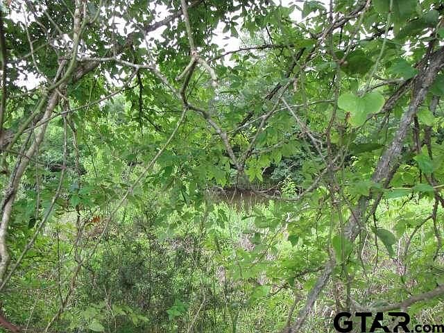 2nd image of 0 Vz County Road 4912 #2