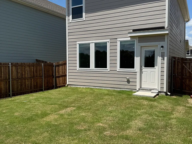 Back yard