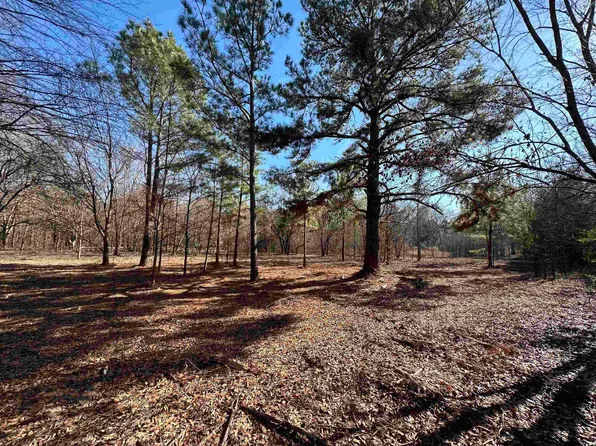 Boundary St, Mineola, TX 75773