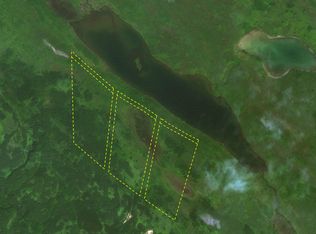 Remote, Anchorage, AK 99501