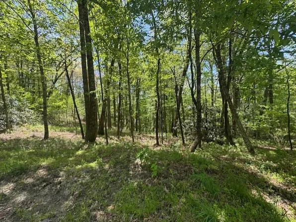 TBD Bowery Road, Highlands, NC 28741