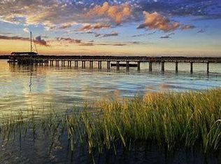 408 Blowing Fresh Dr, Charleston, SC 29492