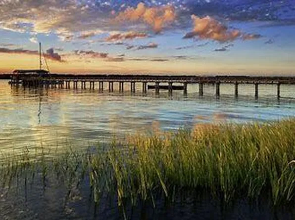 408 Blowing Fresh Dr, Charleston, SC 29492