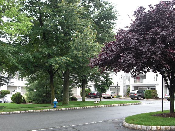 Sutton Woods Grounds