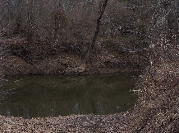 3rd image of 292 Roachs Ln