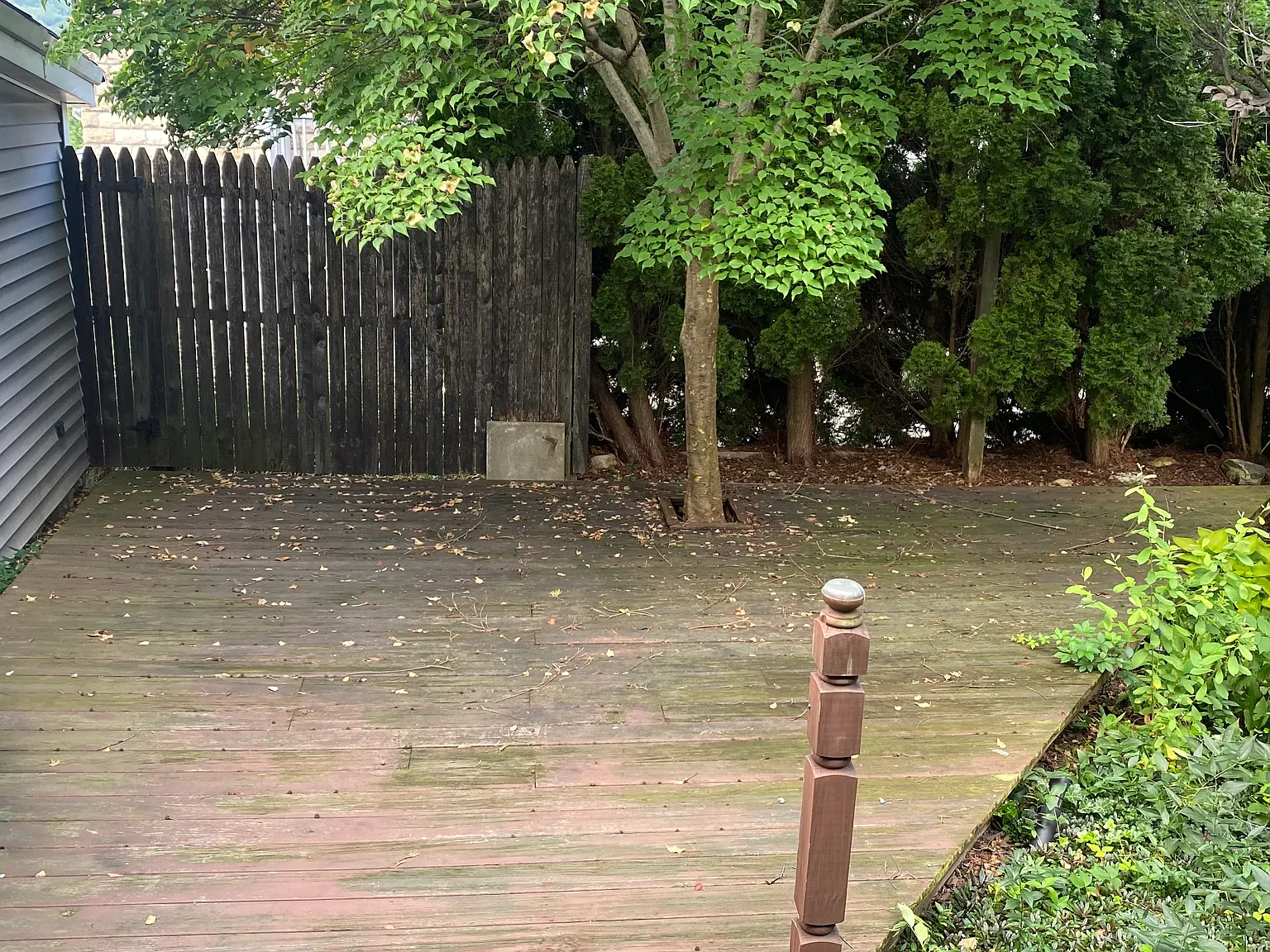 2 bed, 1343 sqft, $1,800 — Photo 3
