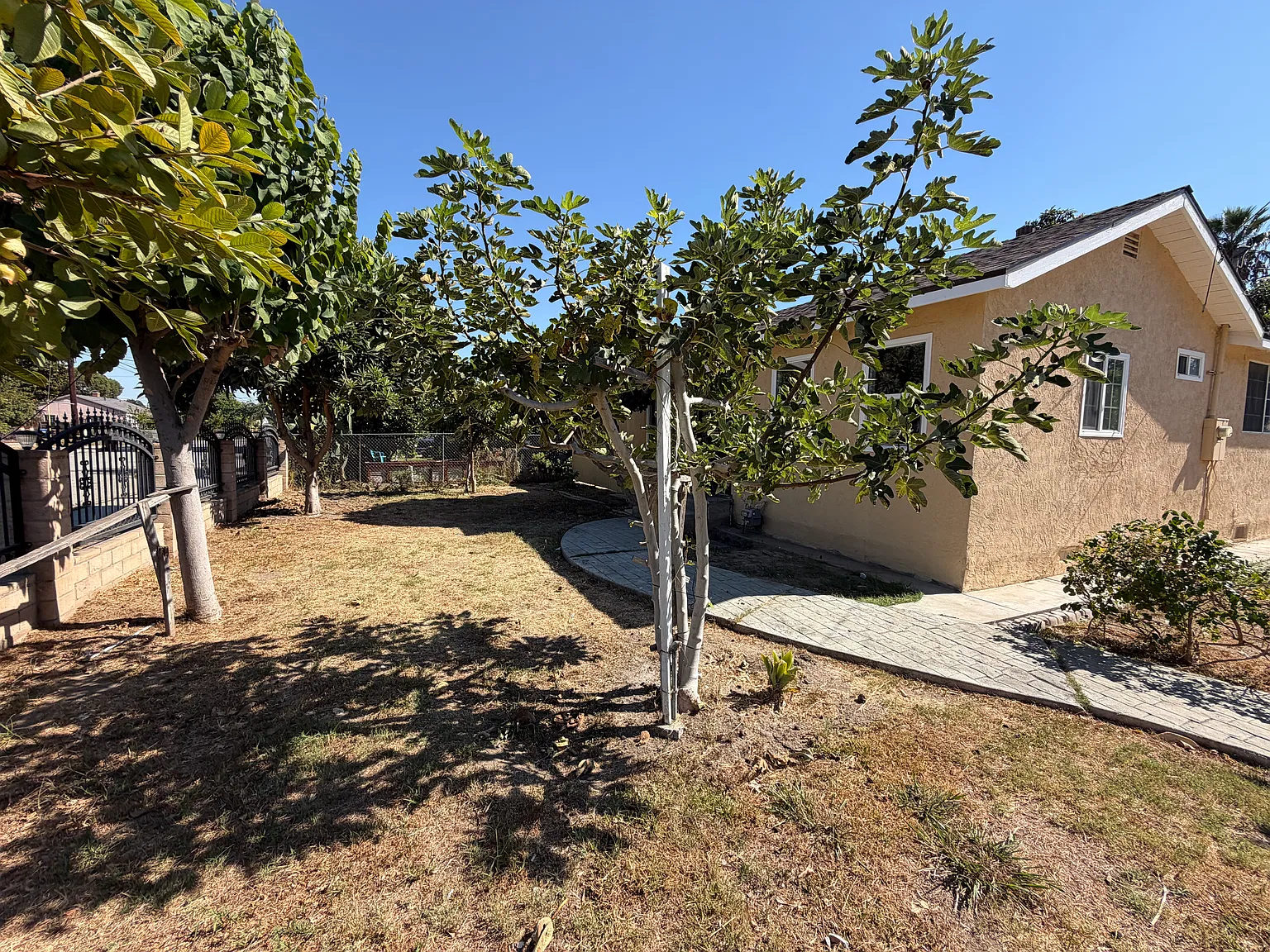 2 bed, 1000 sqft, $3,000 — Photo 2