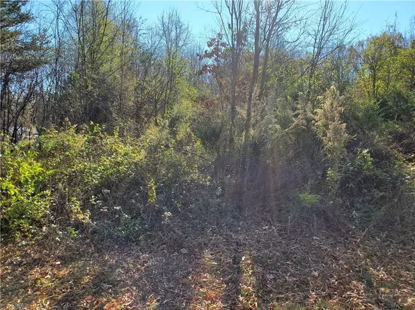 LOT 8 Faylyn Dr Lot 8, Pfafftown, NC 27040