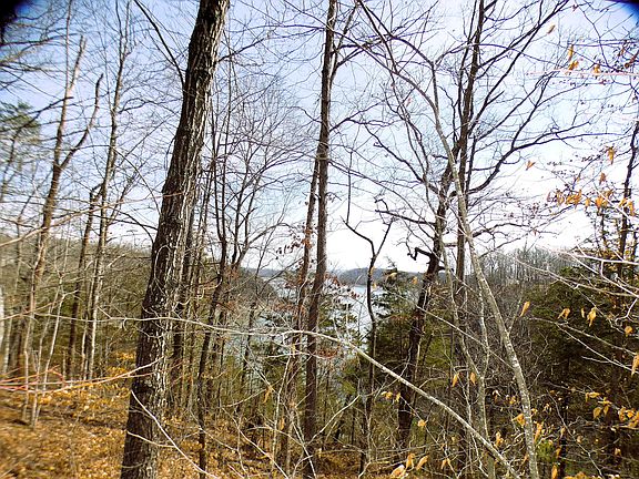 4th image of LOT 24 Restful Run Rd