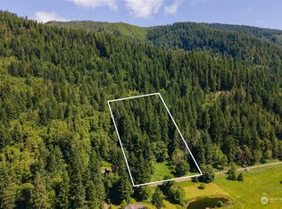 33311 Mount Tahoma Canyon Rd E, Ashford, WA