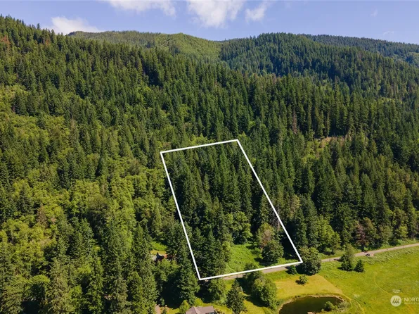 33311 Mount Tahoma Canyon Road E, Ashford, WA 98304