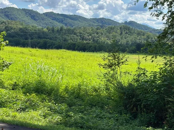 Canupp Dr, Sevierville, TN 37876