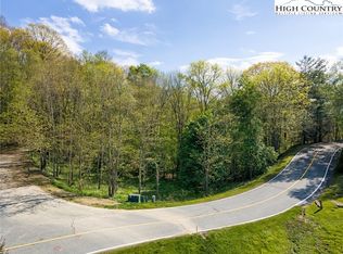 175 Saddle Ridge Ln, Elk Park, NC 28604