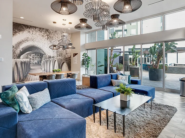 Vive Luxe, San Diego, CA, Lounge