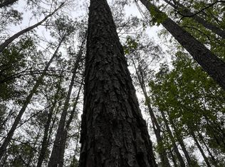 Highway 49, Brooklyn, MS 39425
