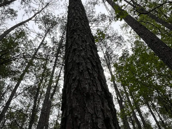 Us Highway 49, Brooklyn, MS 39425