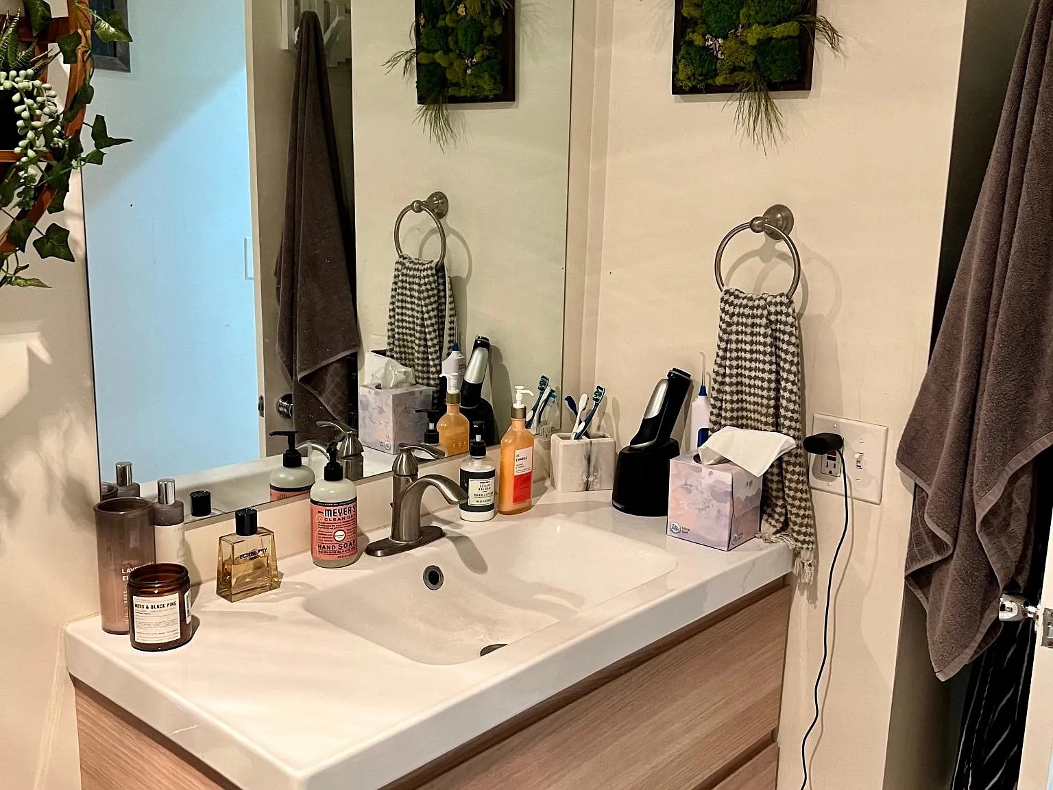 1 bed, 800 sqft, $2,885 — Photo 3
