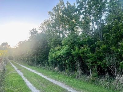 0 Bellingrath Rd, Theodore, AL, 36582