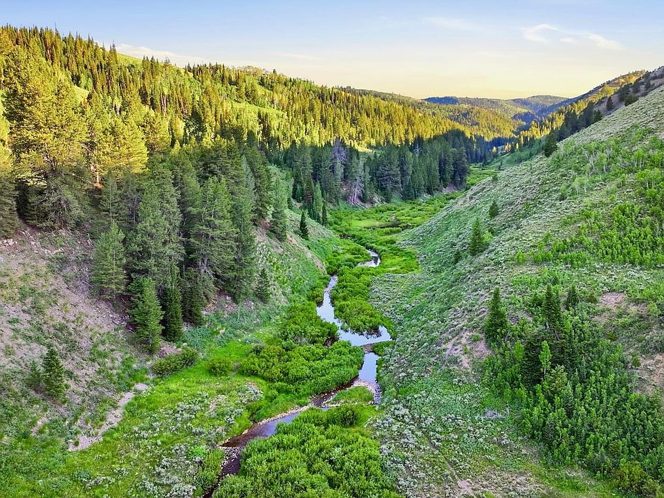 Long Hollow Ranch 1 Of 58