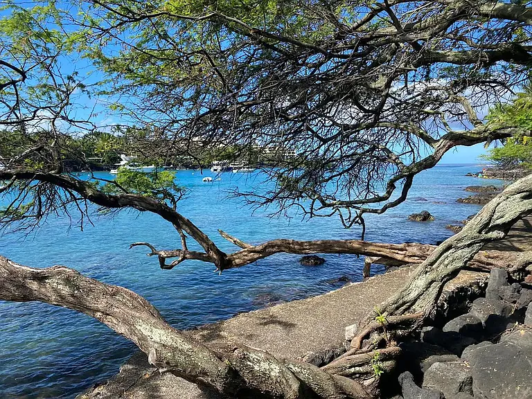 Alii Dr — Photo 15