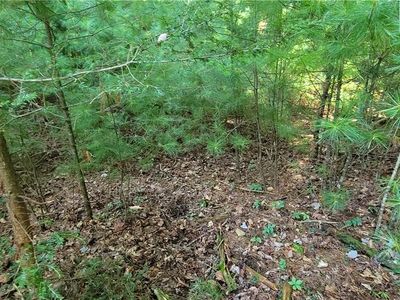 Lot 8 Oak Tree Lane, Jefferson, NC, 28640