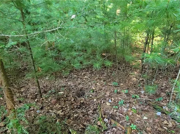 Lot 8 Oak Tree Lane, Jefferson, NC 28640