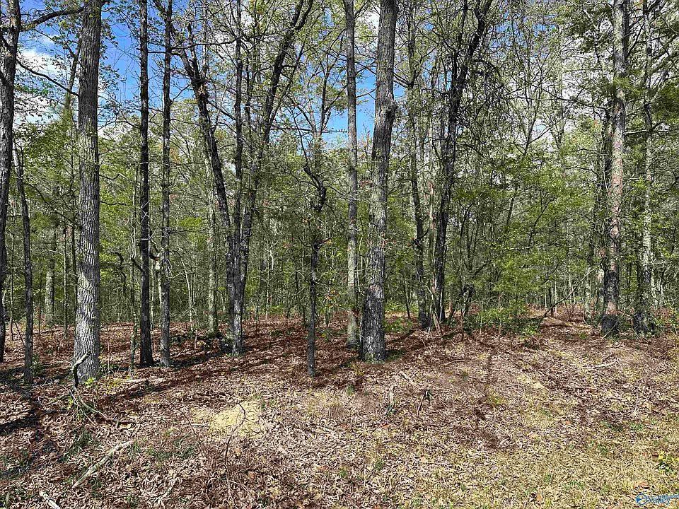 2nd image of 37.5 Northwood Dr